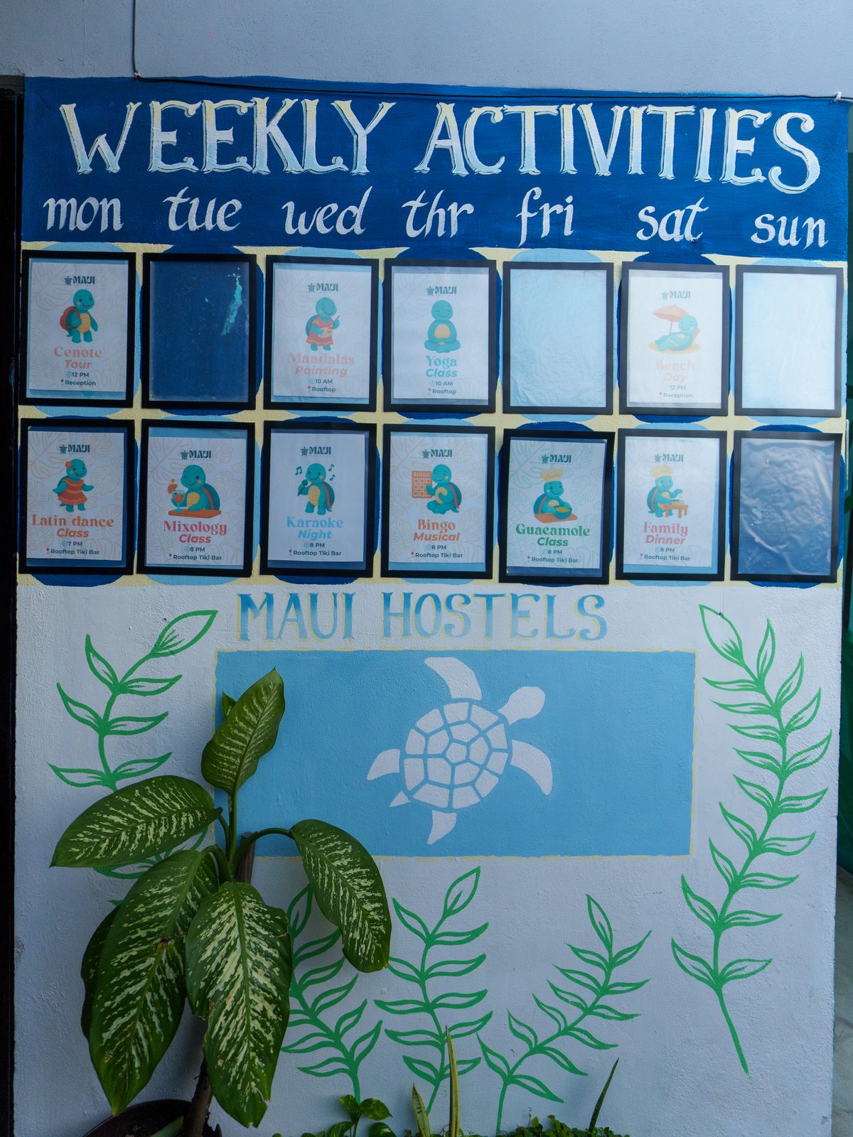 Weekly activities board at Maui Hostels Playa del Carmen reception