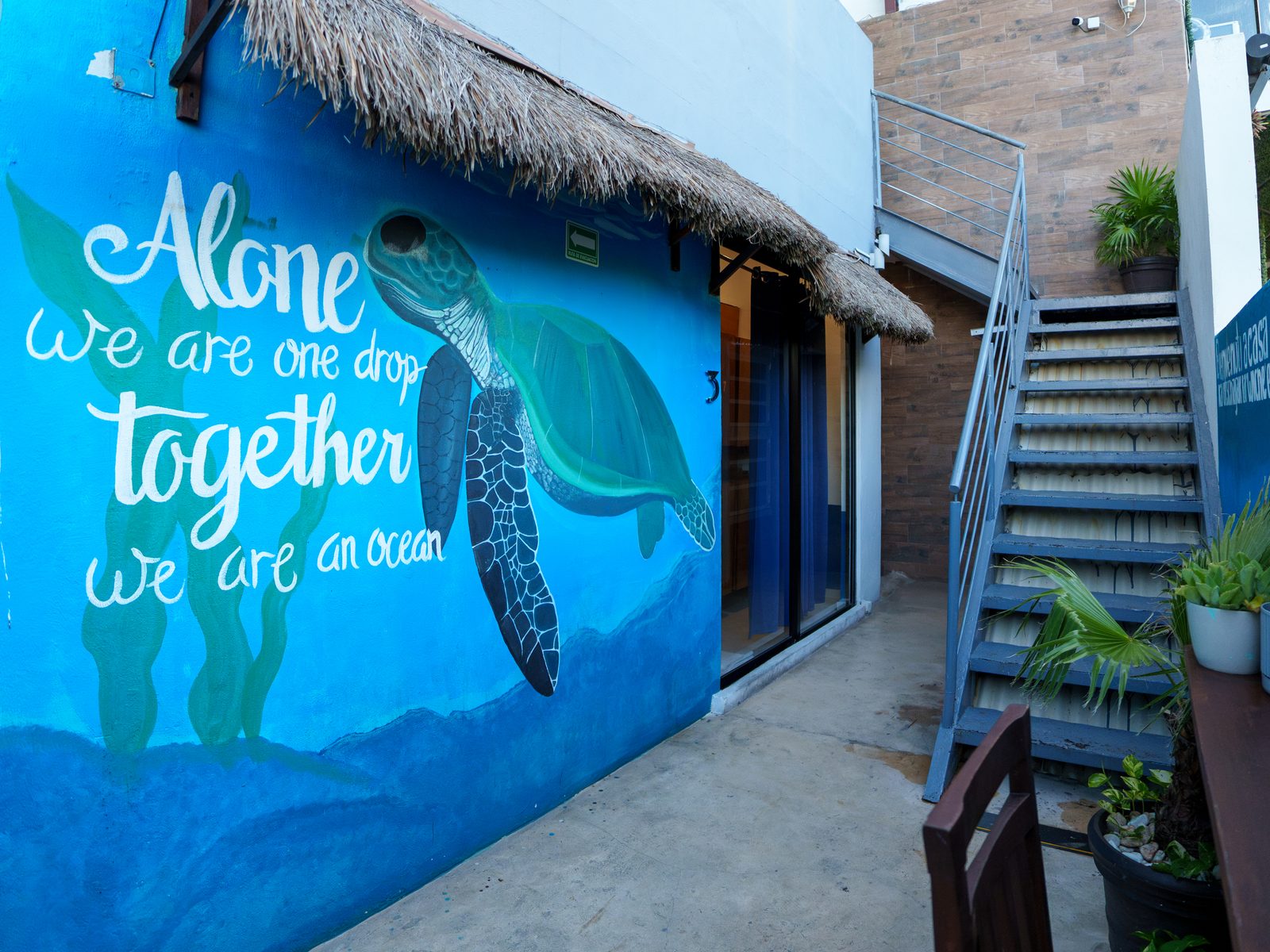 Maui Hostels Playa del Carmen – ‘Alone we are one drop, together we are an ocean’ turtle mural in the courtyard