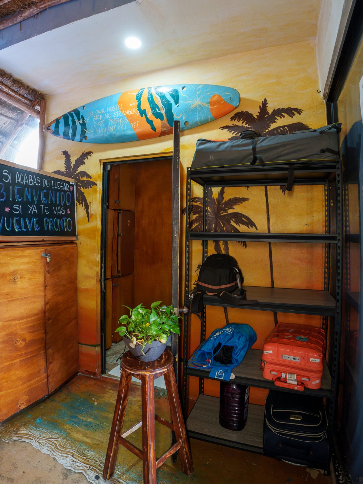Surfboard art and luggage storage at Maui Hostels Playa del Carmen reception