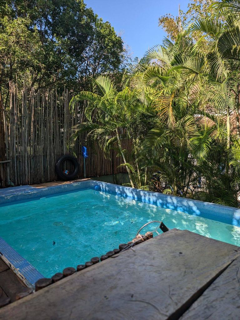 Guest relaxing in a hammock under palms — Maui Hostels Tulum jungle vibes