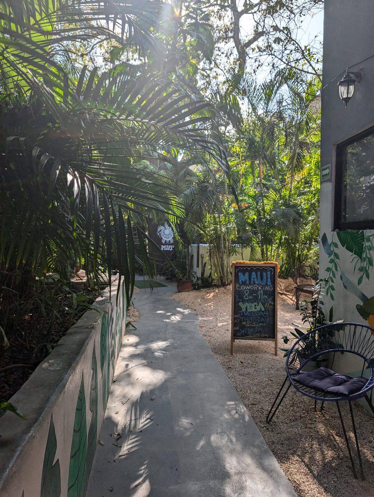 Backpackers chilling poolside with Modelo beers — Maui Hostels Tulum