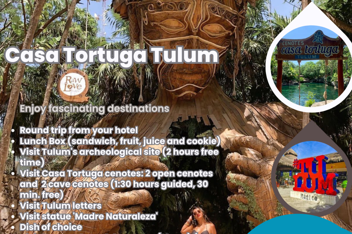 Maui Hostels activities and social events – backpacker life Riviera Maya 4