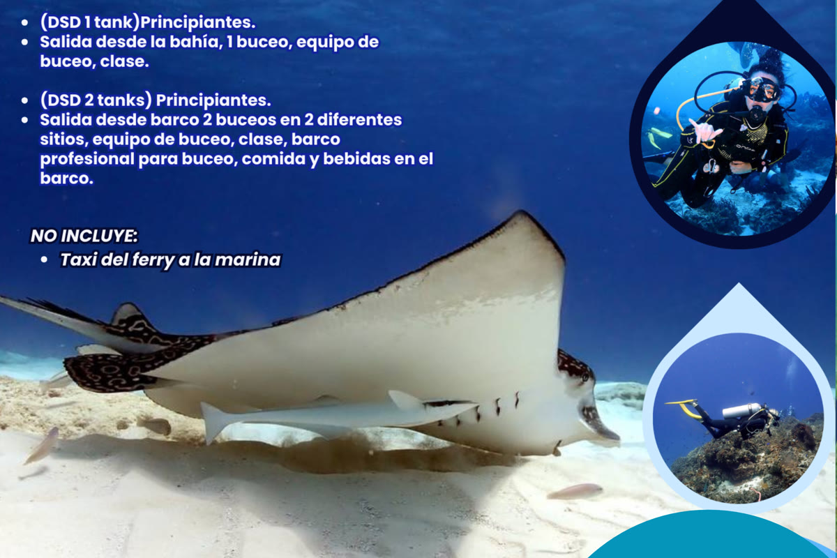 Maui Hostels guest moments – hostel community vibes Tulum Mexico 6