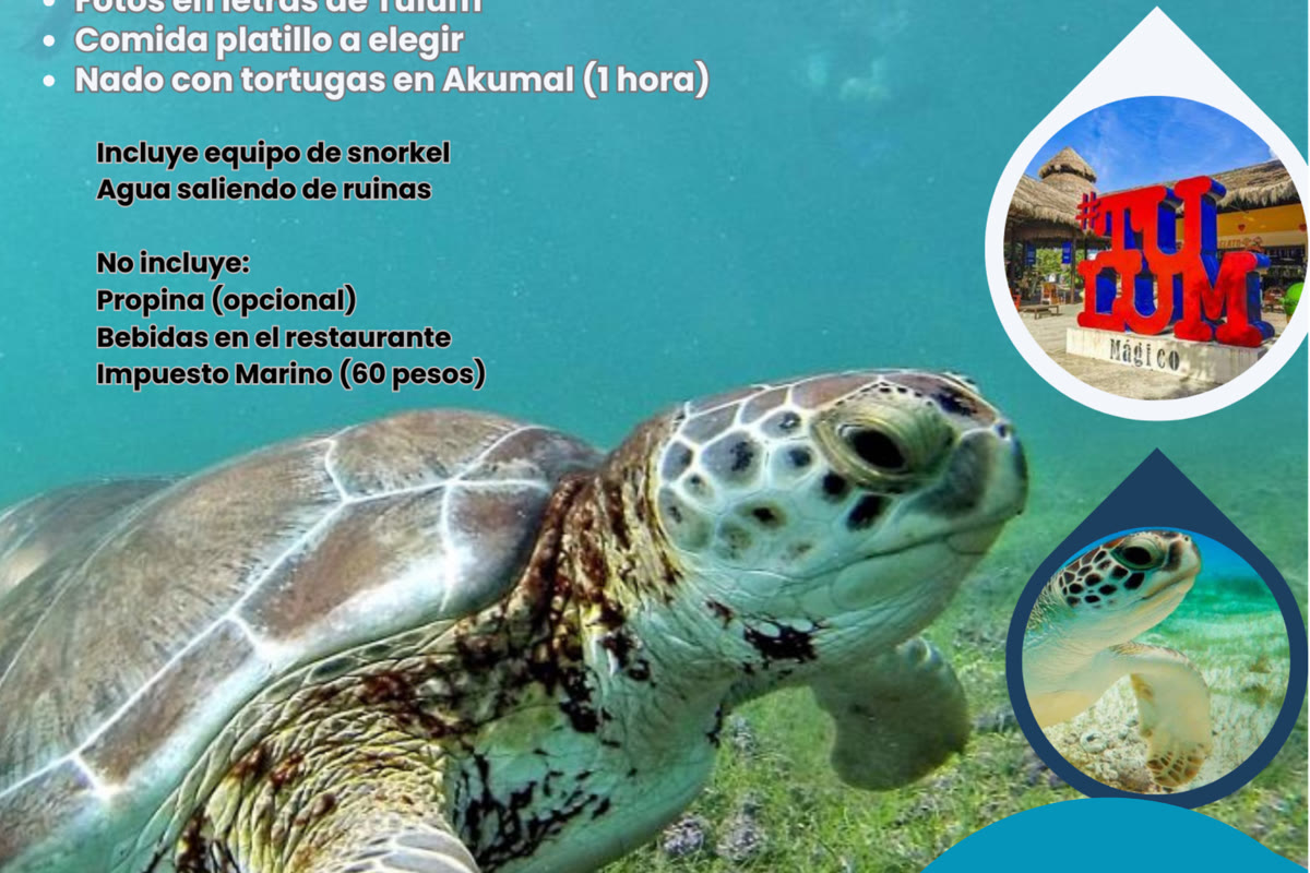 Maui Hostels activities and social events – backpacker life Riviera Maya 6