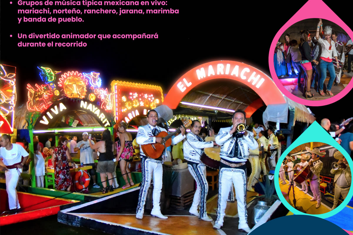 Maui Hostels activities and social events – backpacker life Riviera Maya 2