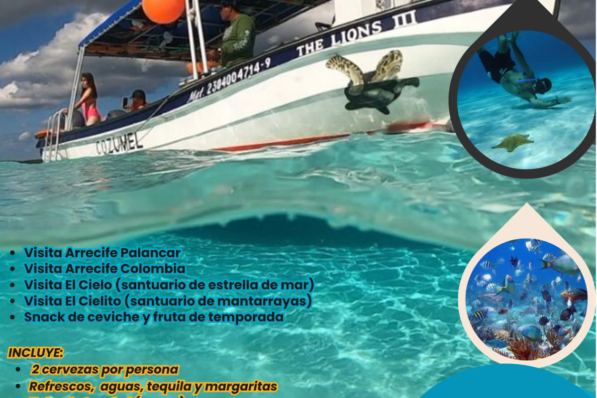 Maui Hostels guest moments – hostel community vibes Tulum Mexico 22