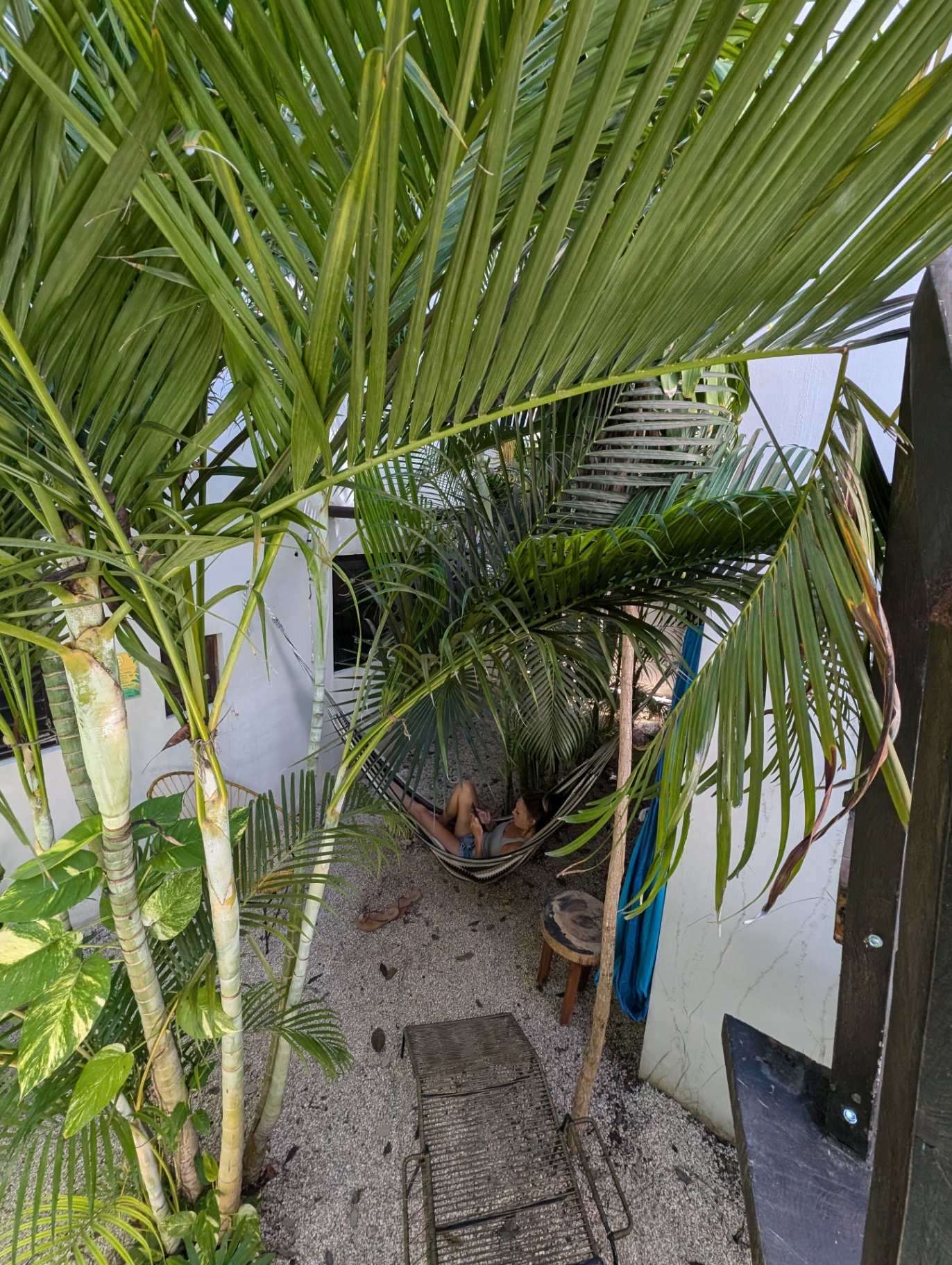 Relaxing in hammock at Maui Hostels Tulum – chill vibes in the jungle